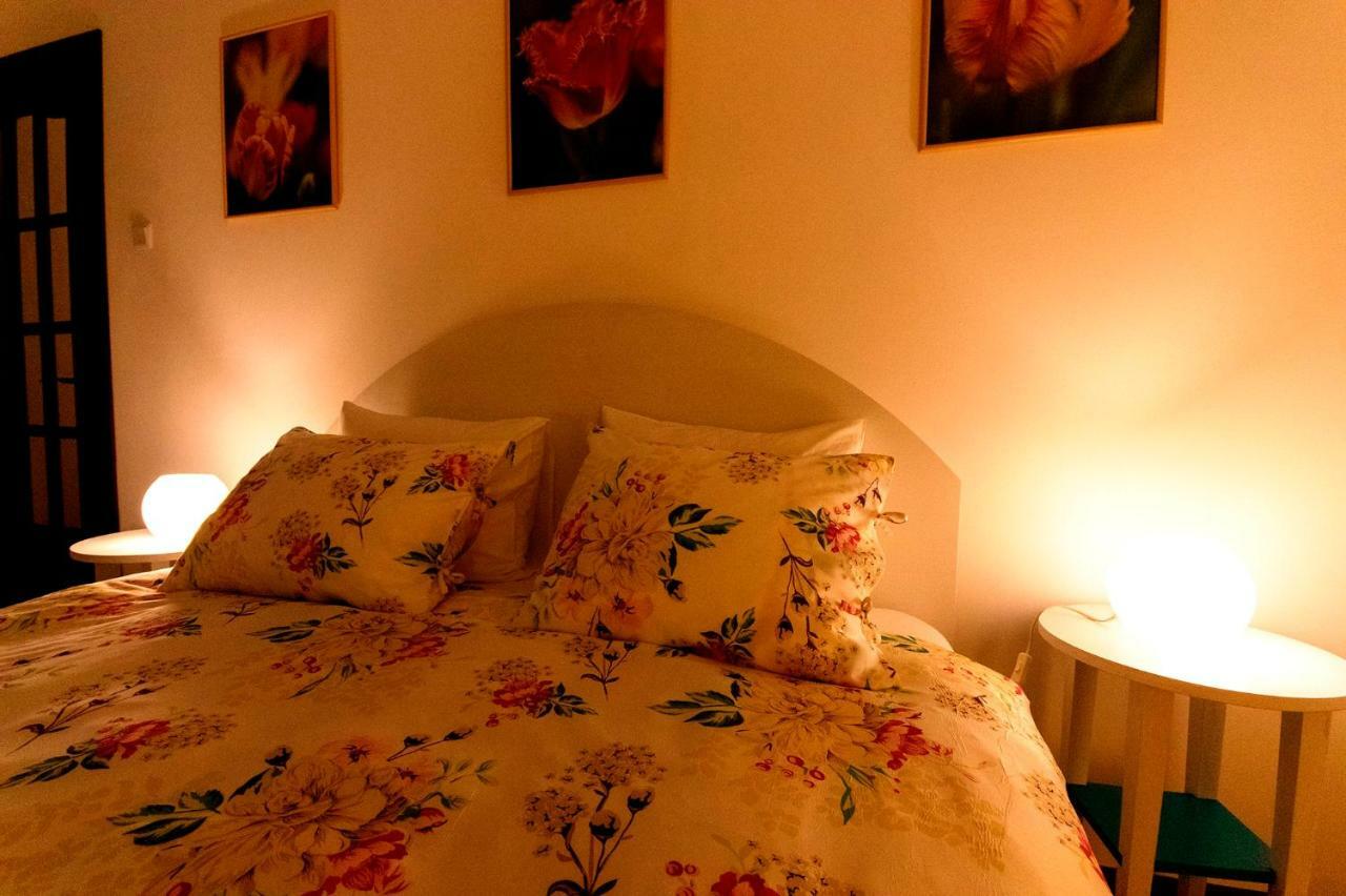 Ava'S Home Брашов Екстериор снимка